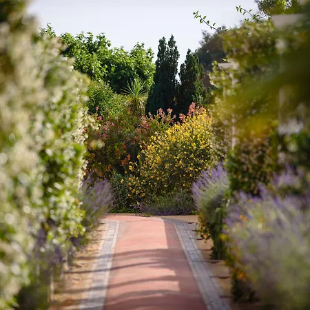 Bussola Anacapri (Isola di Capri)